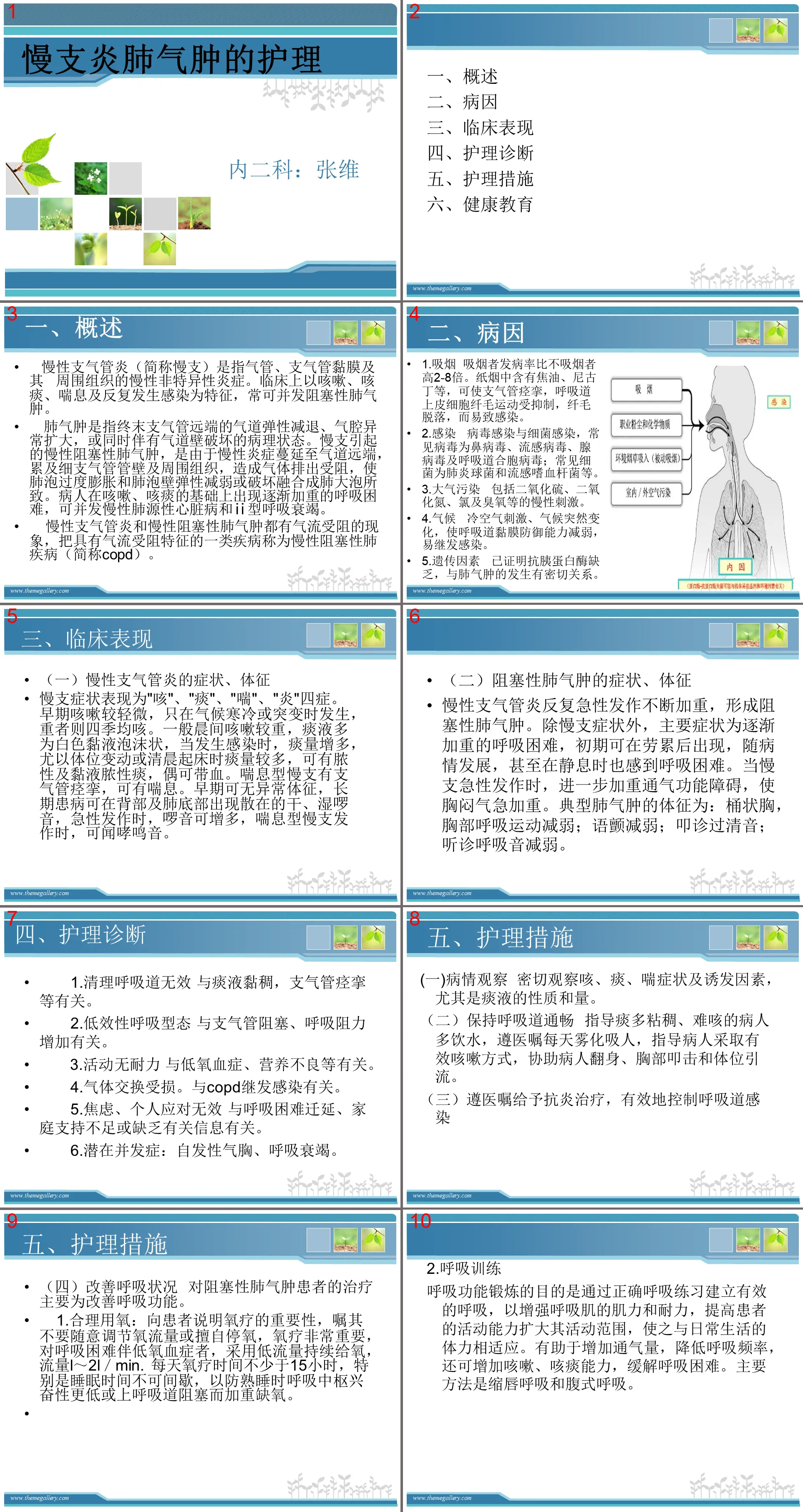 44 Nursing of chronic bronchitis and emphysema