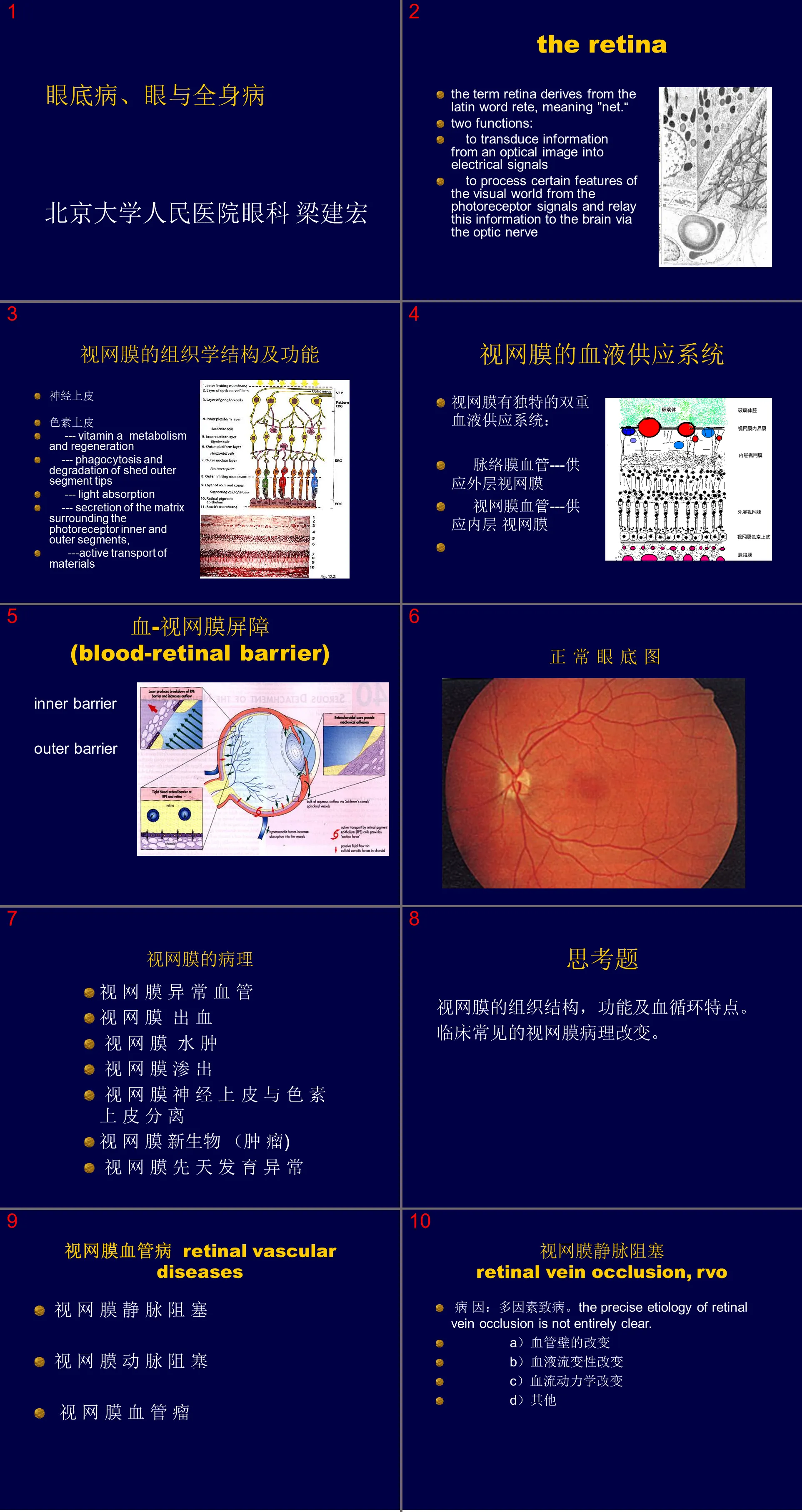 149 Back-up of fundus diseases, eye and systemic diseases