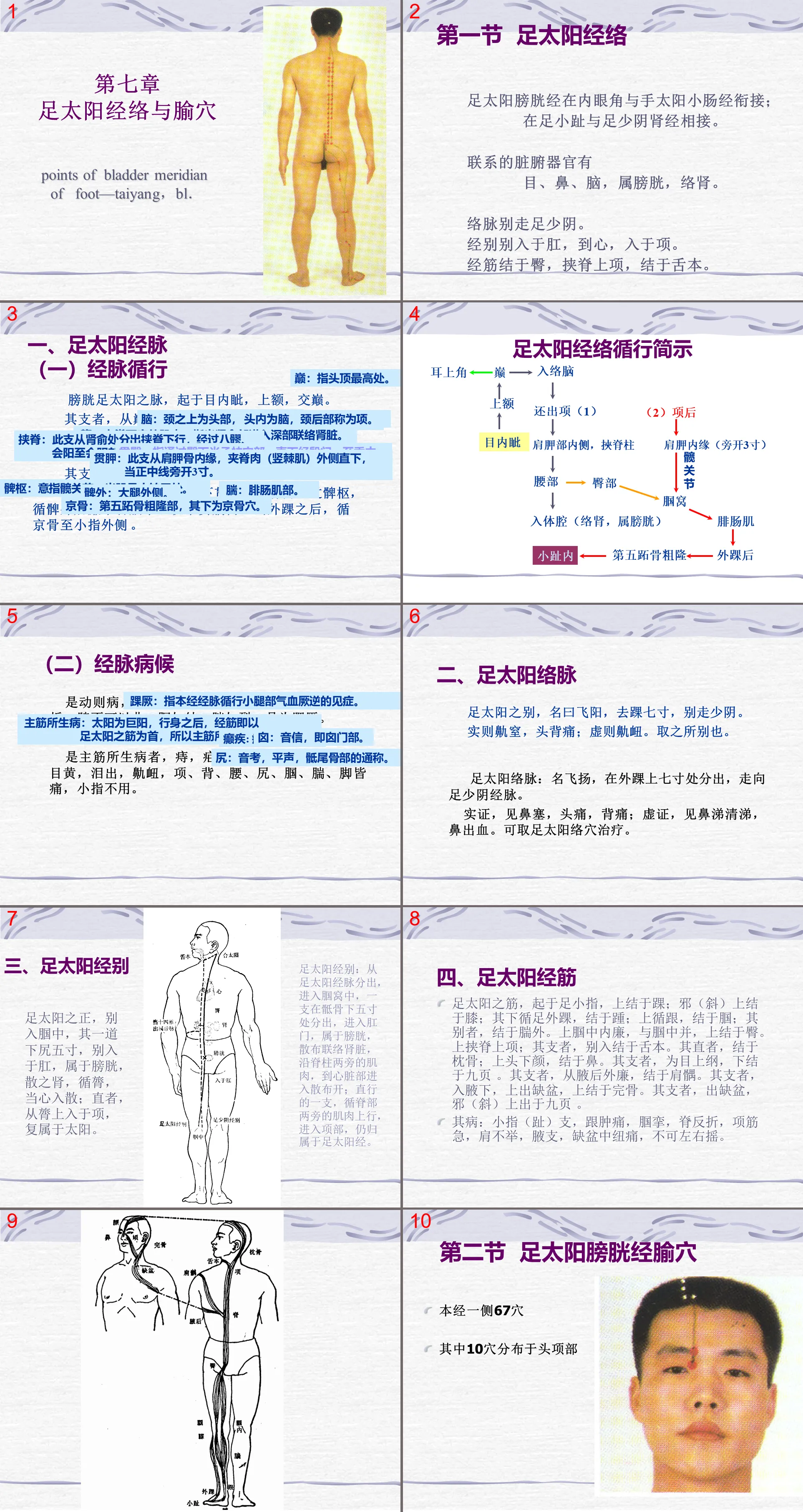 84人體經絡穴位圖譜7膀胱經