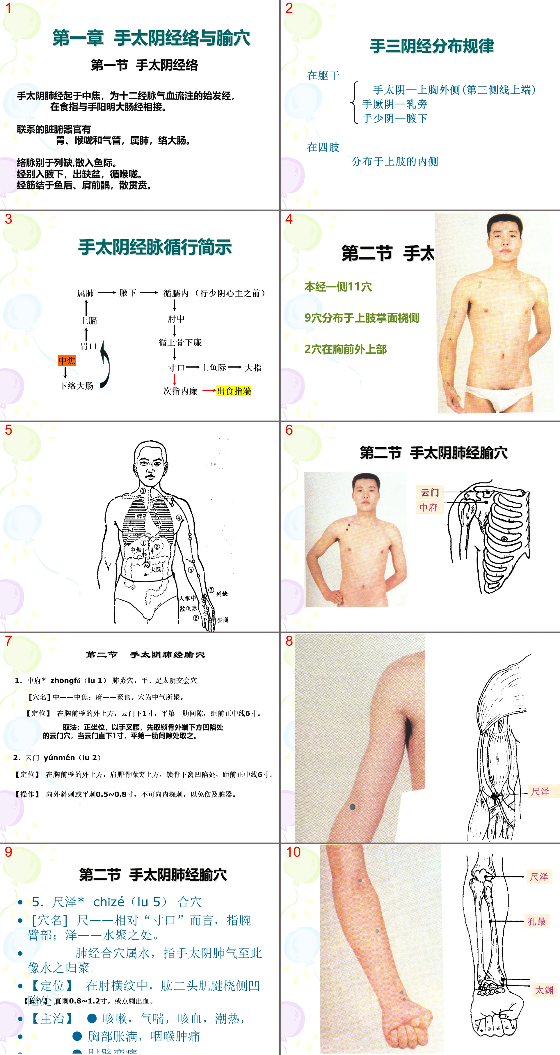 81 Human Meridian Acupoint Atlas 1 Lung Meridian