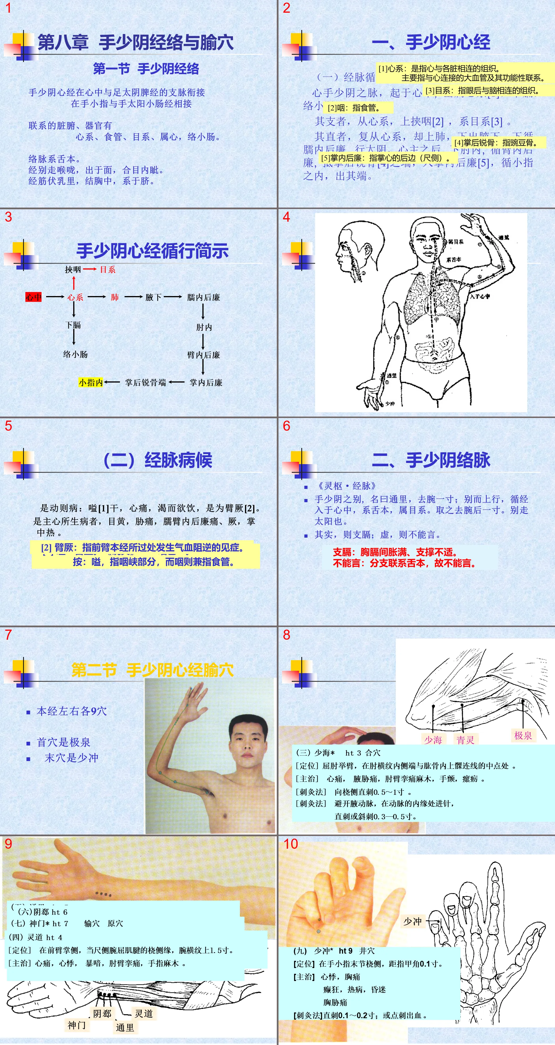 82人體經絡穴位圖譜5心經