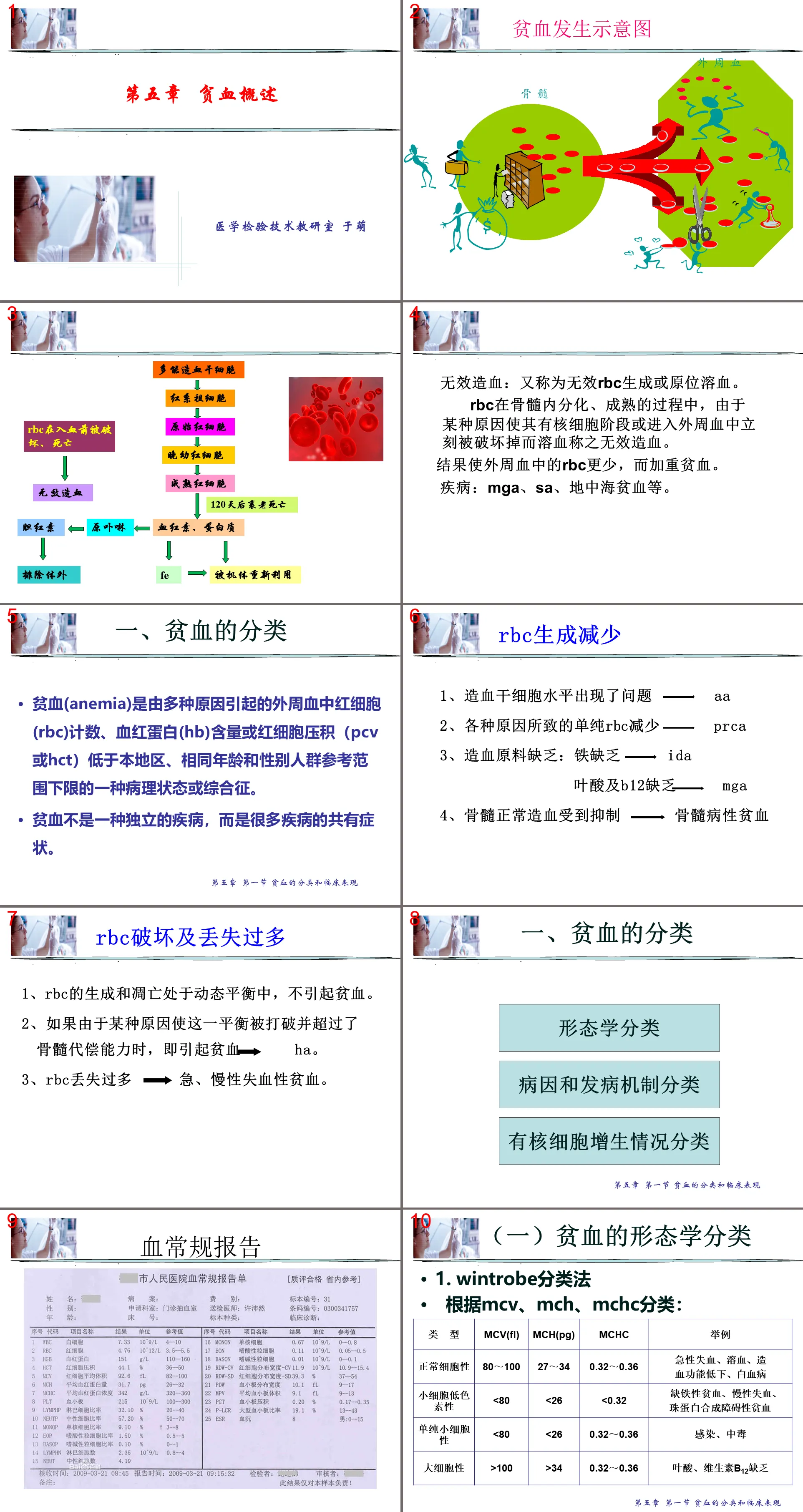 78貧血概述