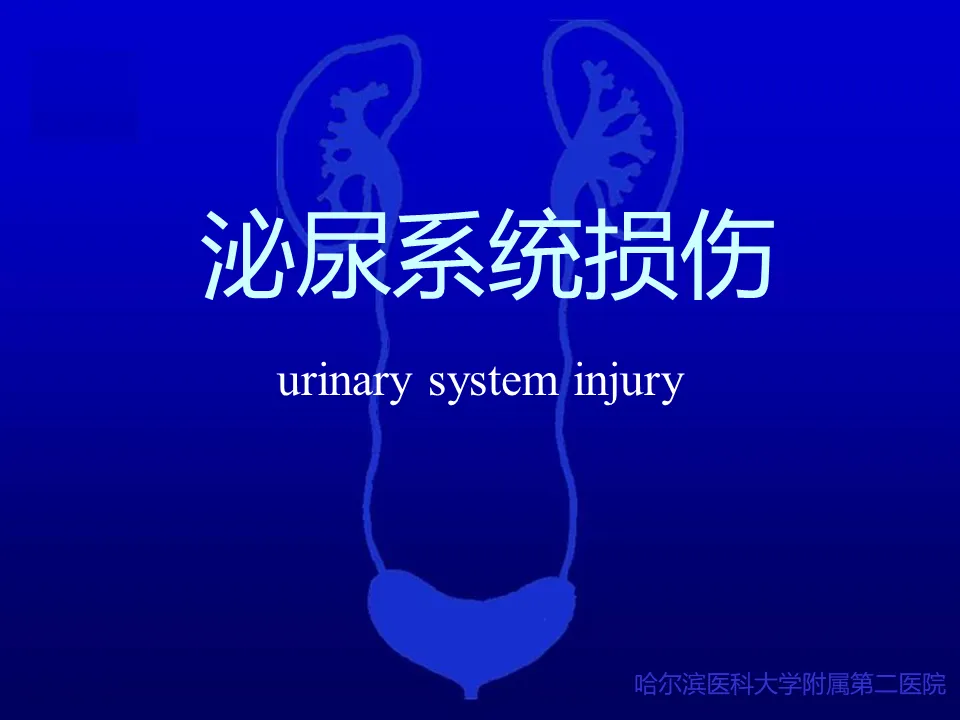 49 Urology-Urinary system injury
