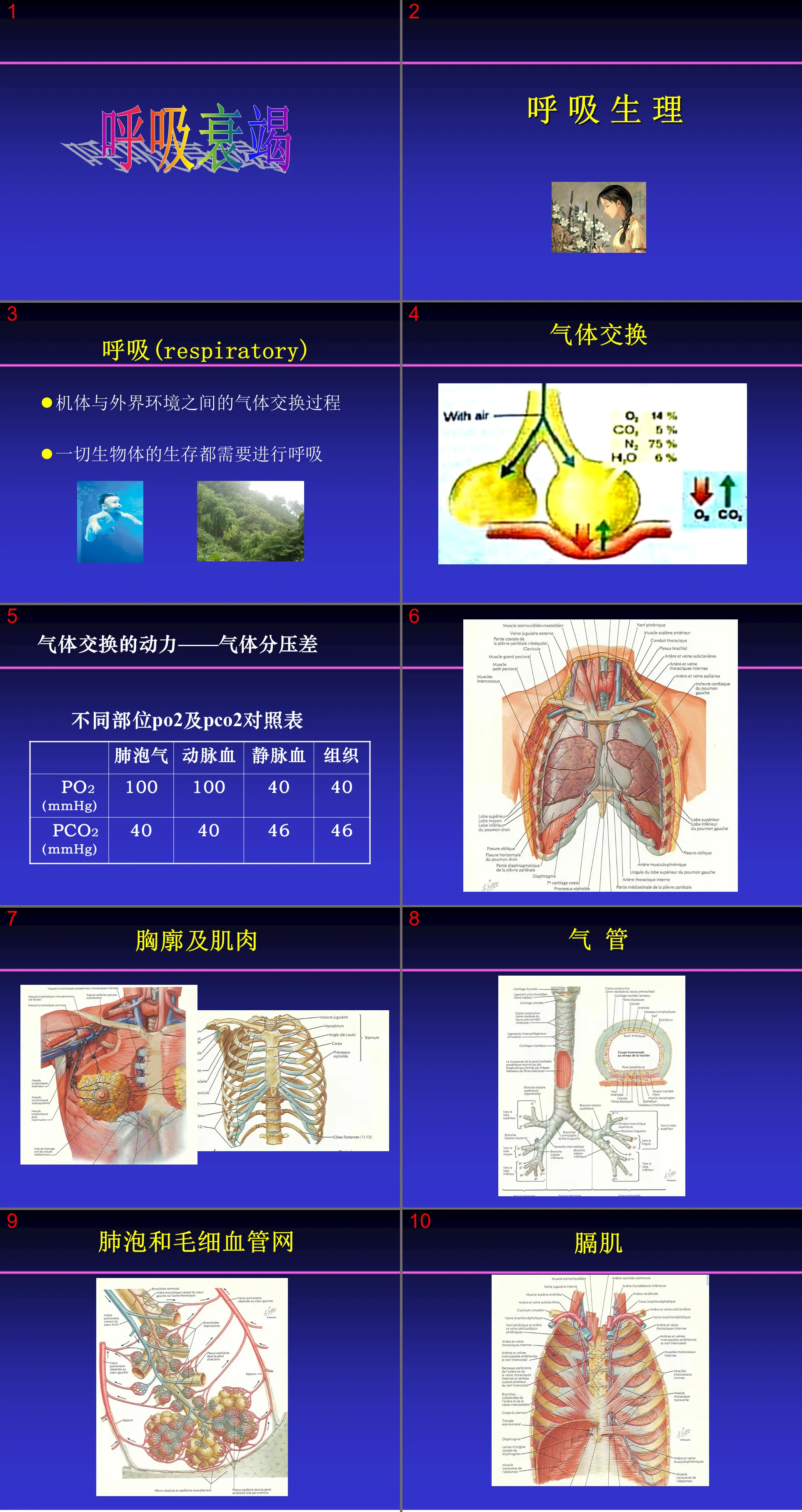 39 Respiratory Medicine-Respiratory Failure ppt