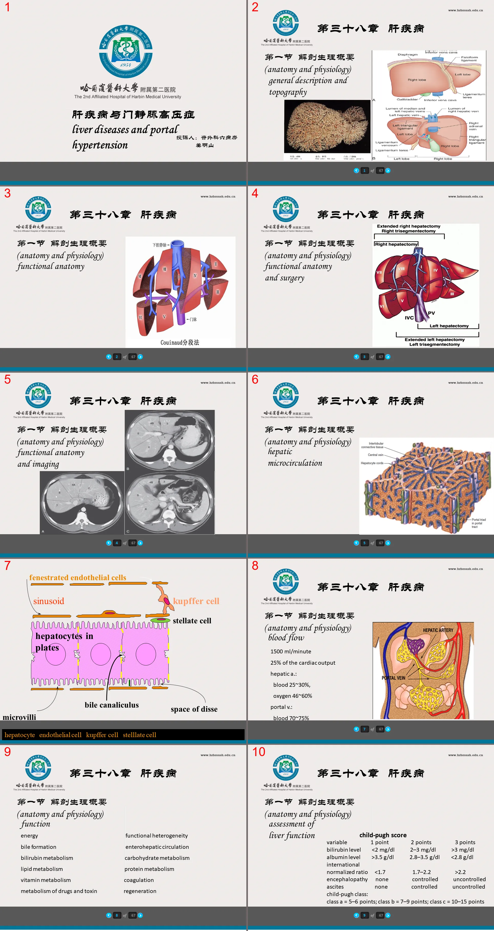 75 Internal Medicine - Liver Diseases and Portal Hypertension