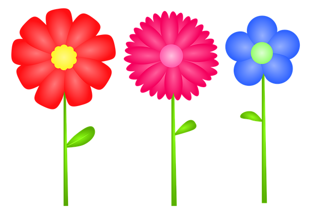 免费下载高清图片花朵, 盛开, 画画, 草图, 艺术, 春天, 植物群, 自然, 植物, 花瓣