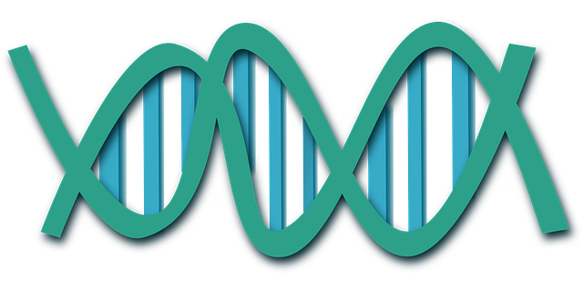 免费下载高清图片脱氧核糖核酸, 螺旋, 科学, 生物学, 研究, 药品, 医疗的, 分子, 化学