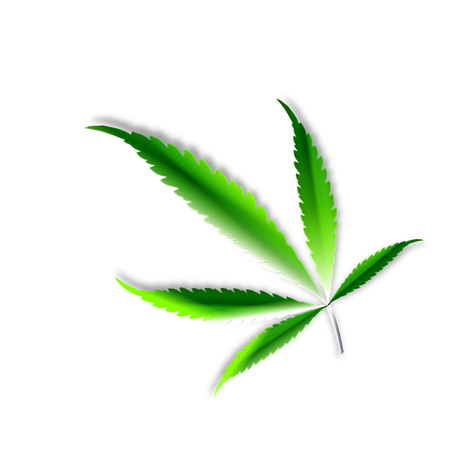 免费下载高清图片Leaf, Marijuana, Nature, Weed