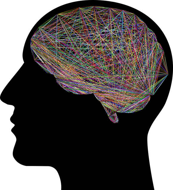 免费下载高清图片头, 脑, 思考, 心理学, A, 一世, Ai, 解剖学, 人工智能, 科学