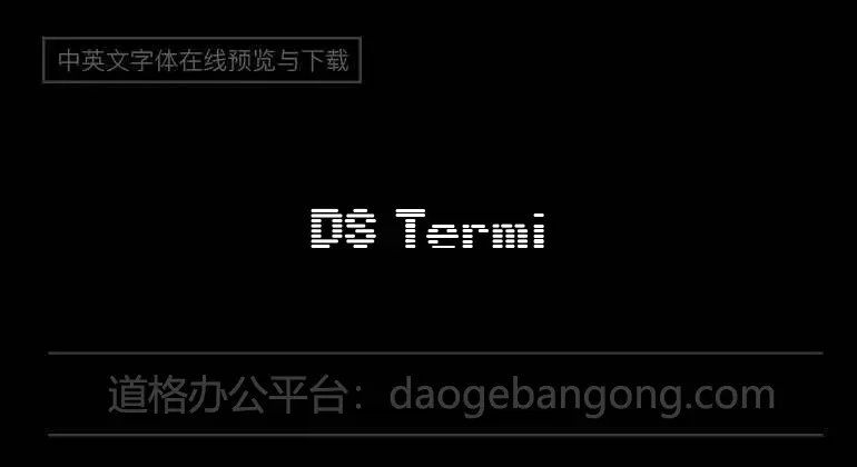 DSTerminal