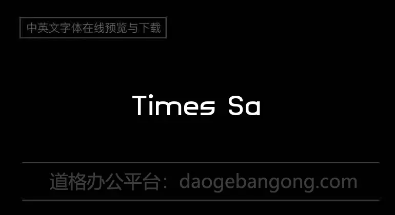 Times Sans Serif