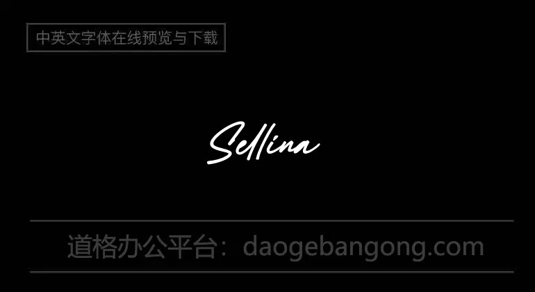 Selina Word Font