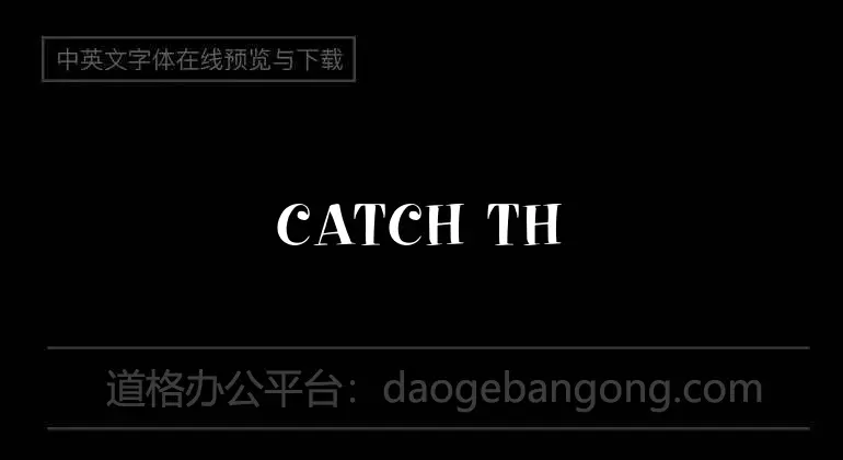 CATCH THE WIND Font