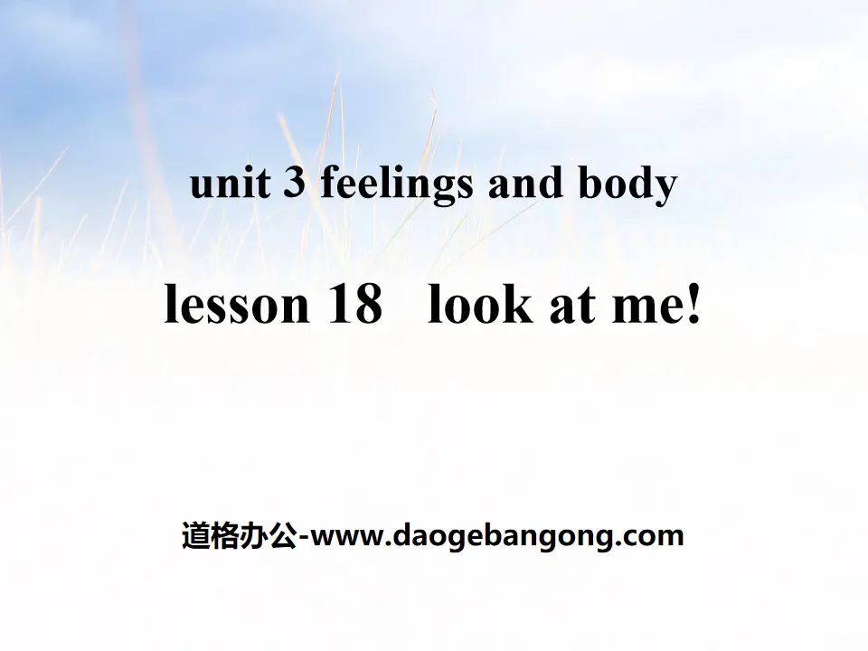 "Look at Me!" Feelings and Body PPT teaching courseware