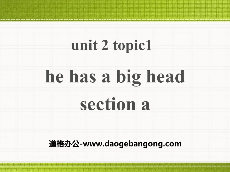 《He has a big head》SectionA PPT