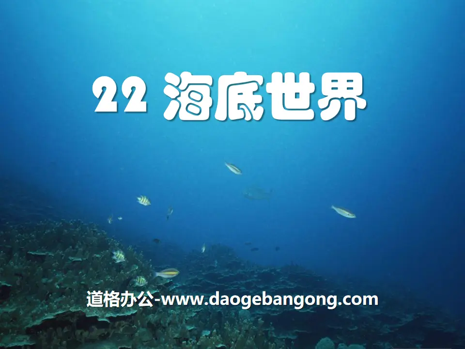 《海底世界》PPT课件7
