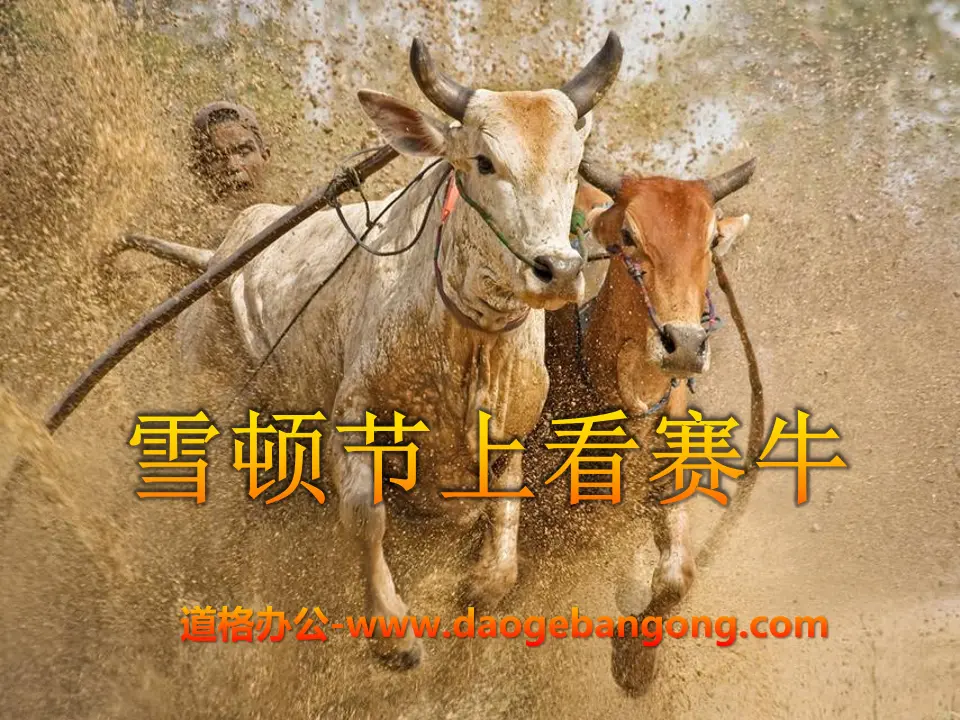 "Watching Bull Racing at Shoton Festival" PPT Courseware 2