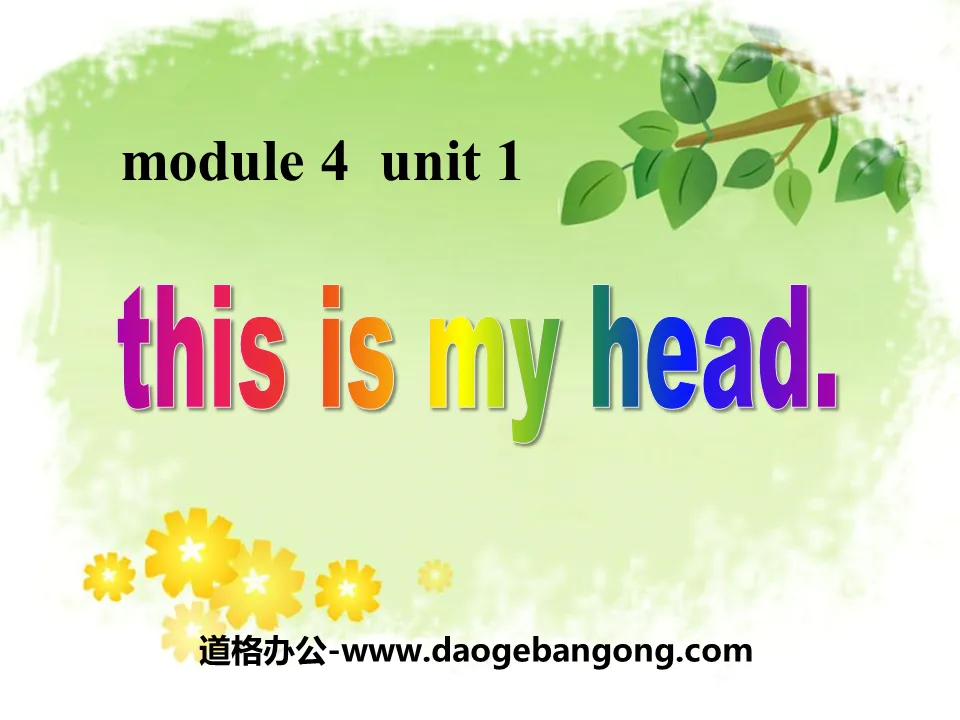 《This is my head》PPT课件4