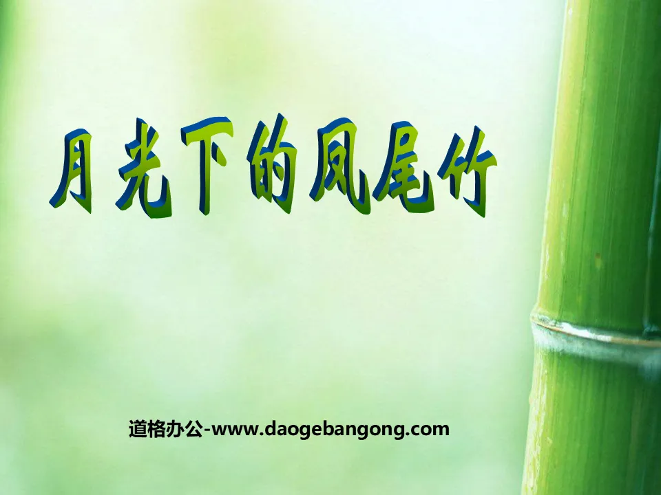 Cours PPT « Windtail Bamboo au clair de lune » 2