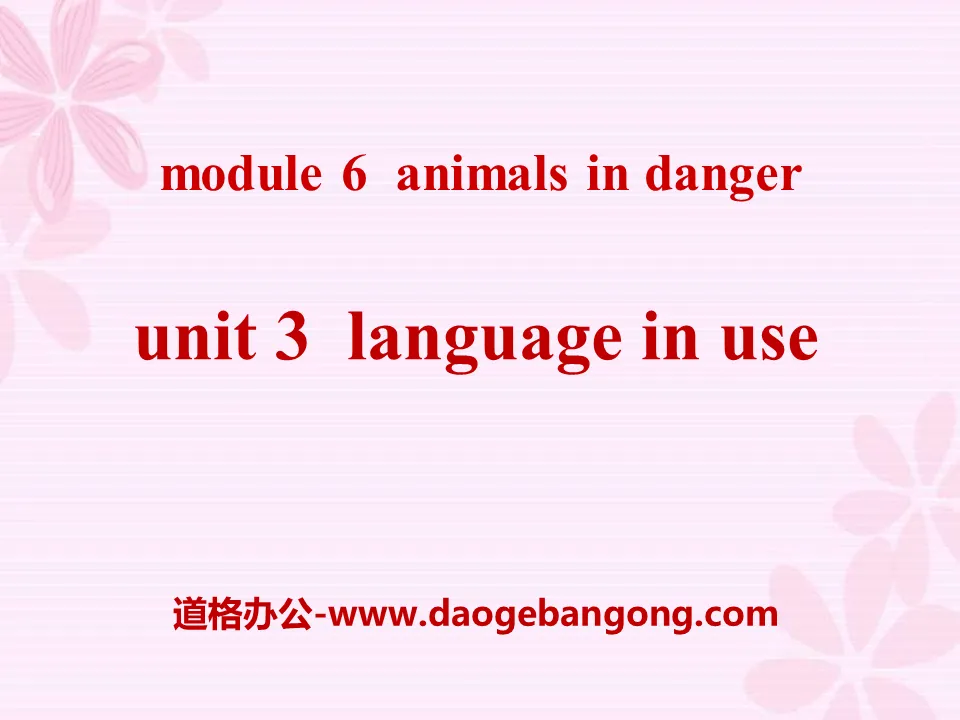 《Language in use》Animals in danger PPT课件4