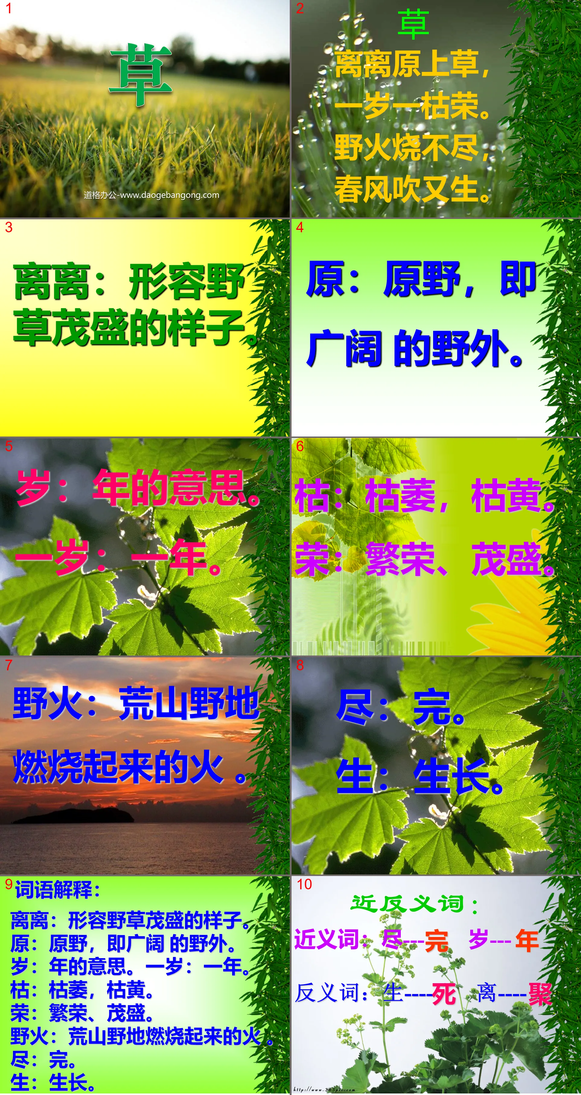 《草》PPT课件
