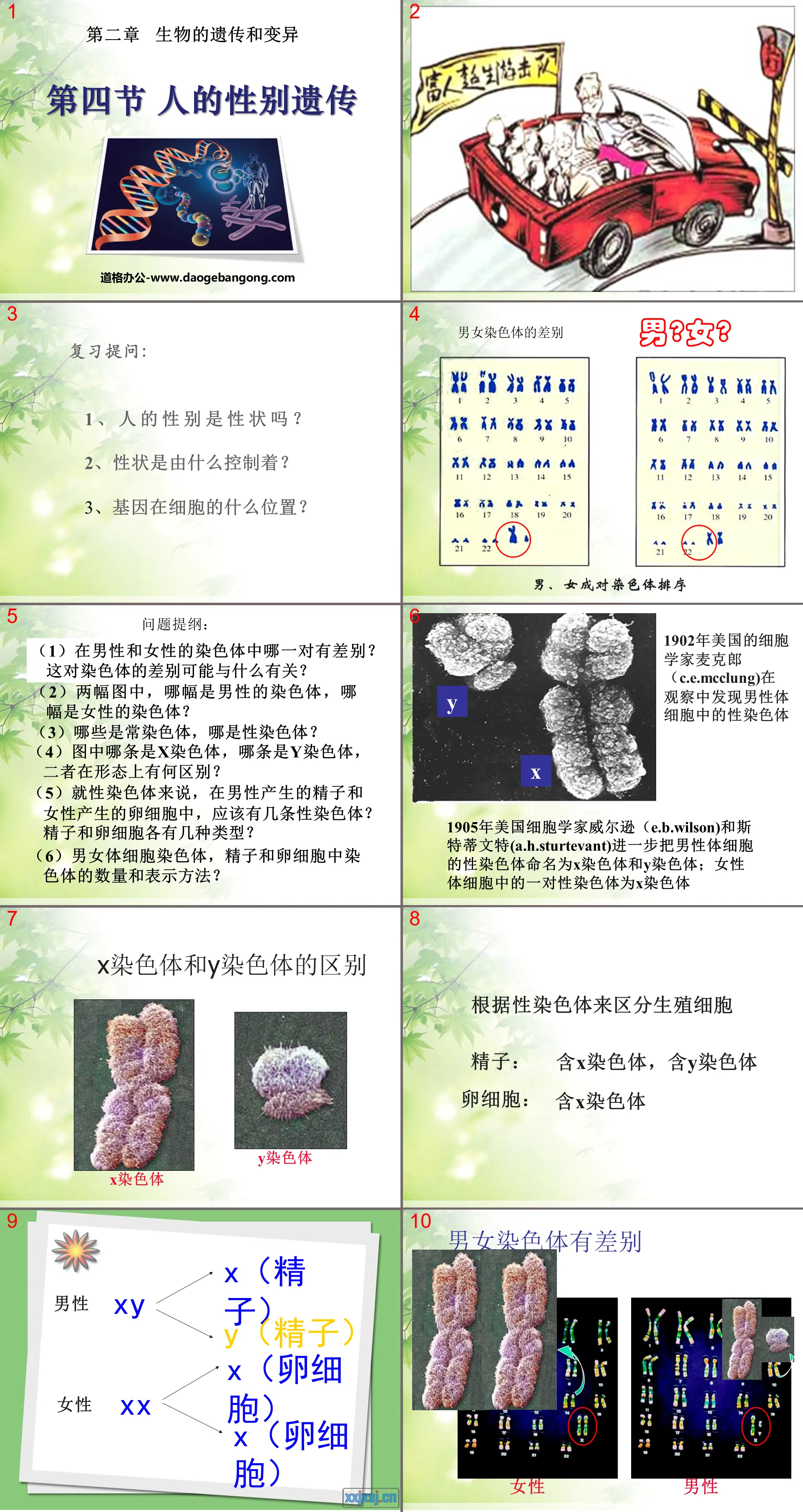 《人的性别遗传》生物的遗传和变异PPT课件2
