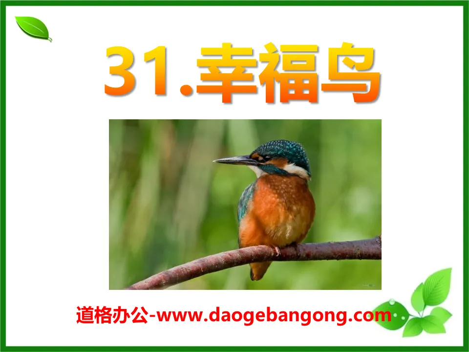 "Happy Bird" PPT courseware 5