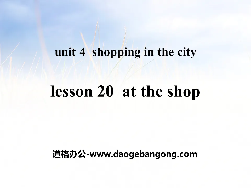 《At the Shop》Shopping in the City PPT教学课件