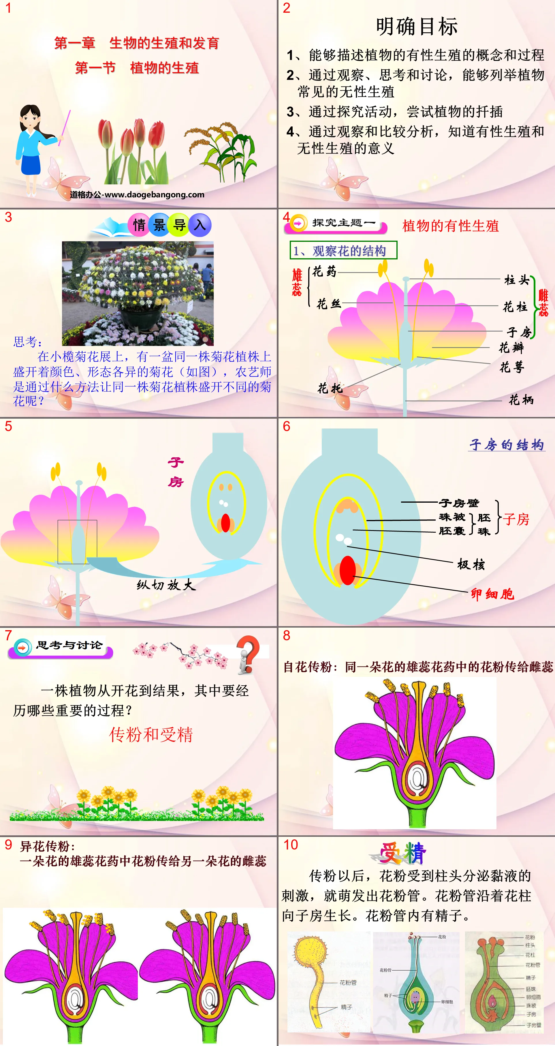 《植物的生殖》生物的生殖和发育PPT课件
