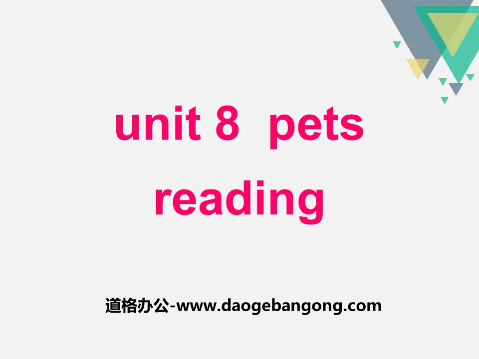 《Pets》ReadingPPT