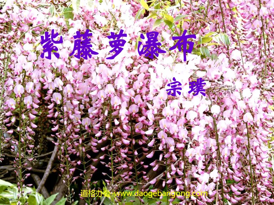 Didacticiel PPT "Wisteria Waterfall"