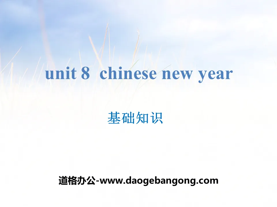 《Chinese New Year》基础知识PPT