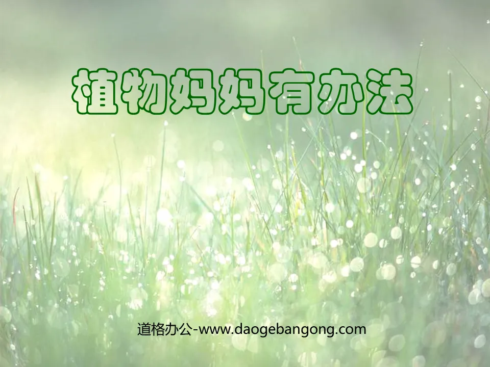 《植物妈妈有办法》PPT教学课件下载4