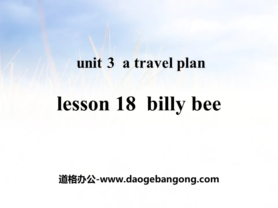 《Billy Bee》A Travel Plan PPT課件