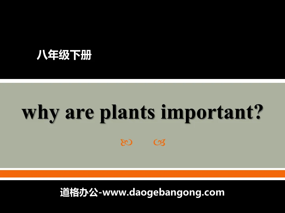 《Why Are Plants Important?》Plant a Plant PPT教学课件