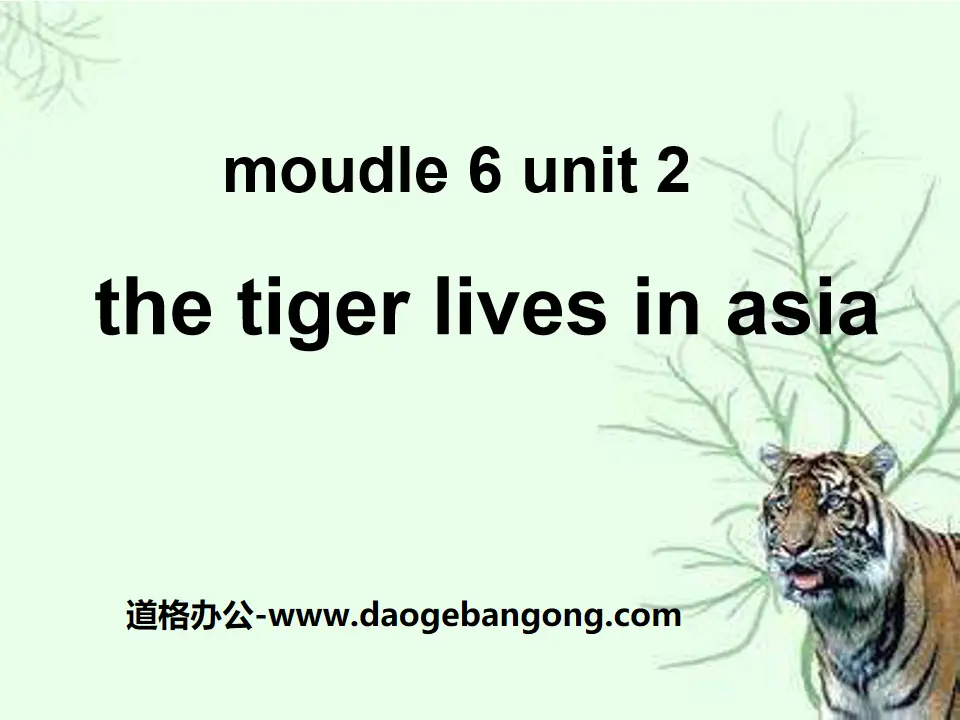 《The tiger lives in Asia》PPT课件5
