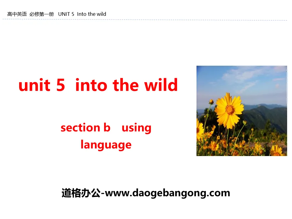 《Into the wild》Section B PPT