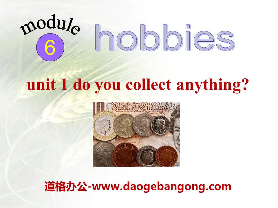 《Do you collect anything?》Hobbies PPT课件2