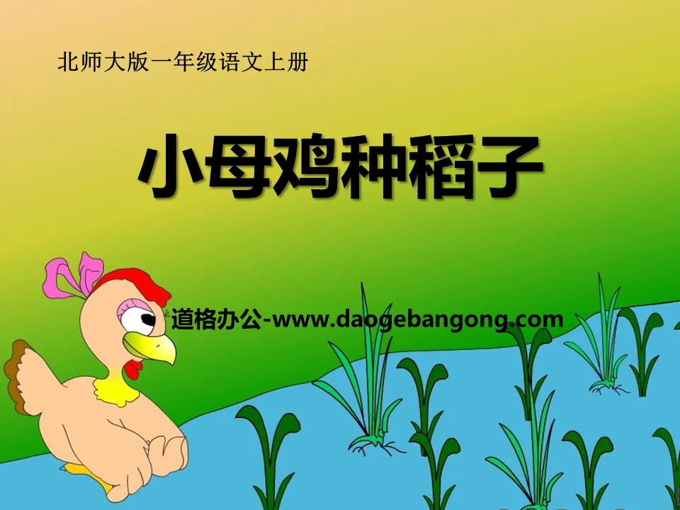 "Little Hen Planting Rice" PPT