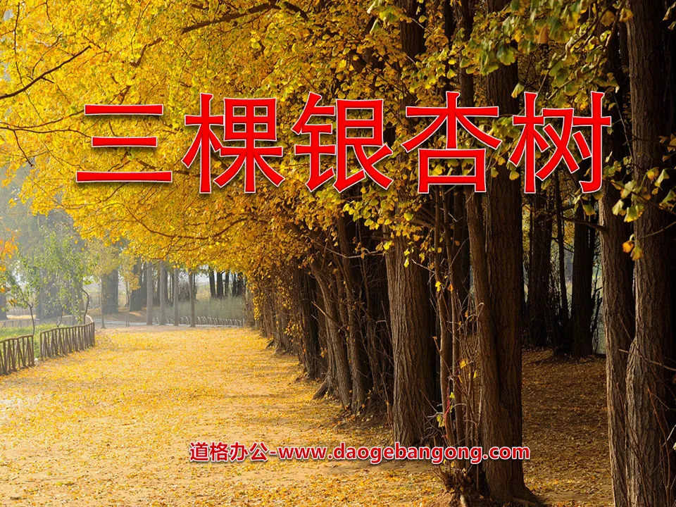 "Three Ginkgo Trees" PPT Courseware 2