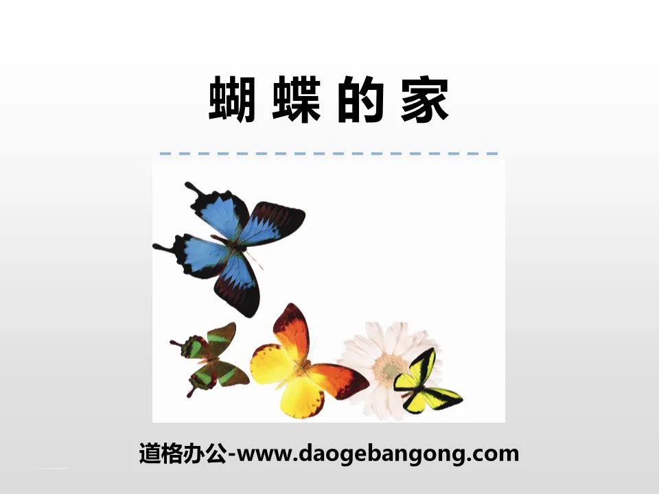 "Butterfly's Home" PPT teaching courseware