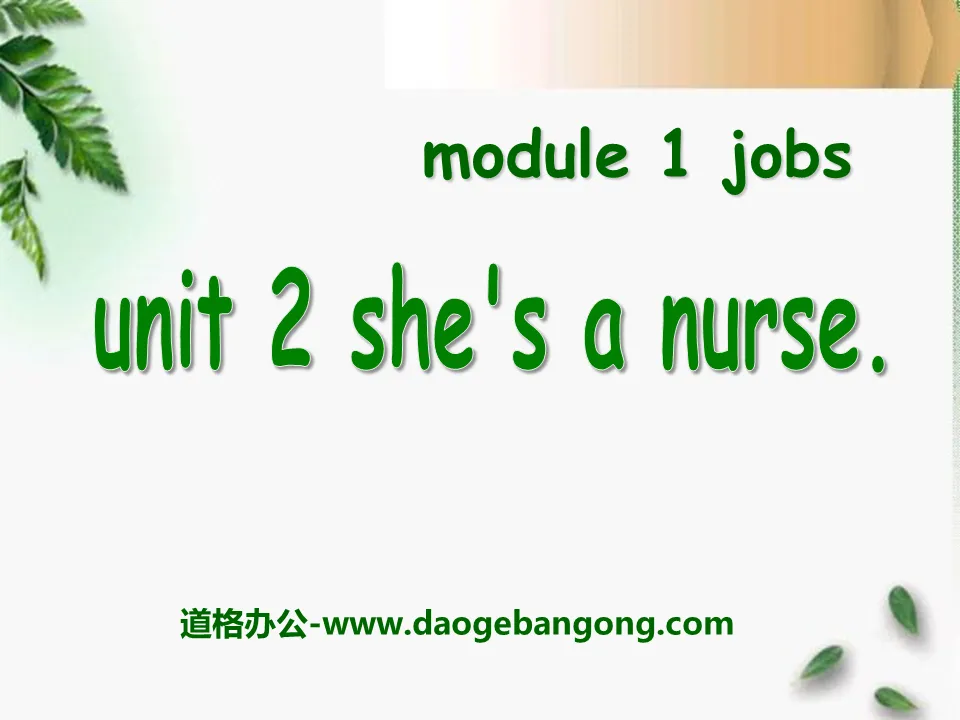 《She's a nurse》PPT课件3