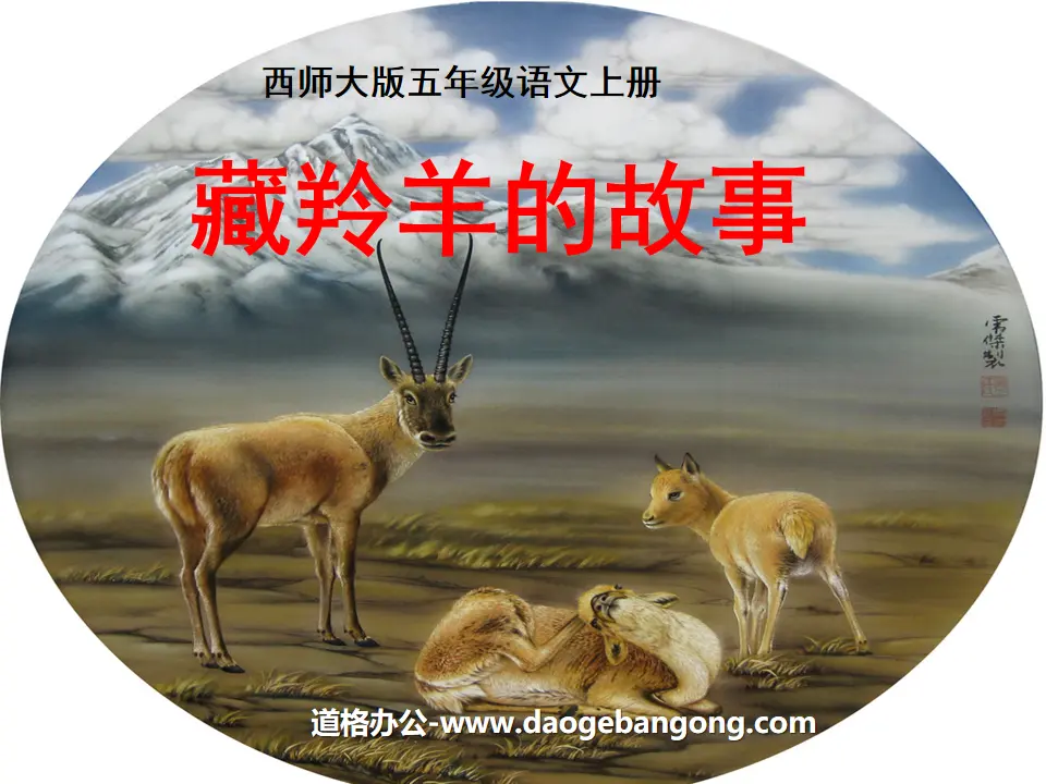 "The Story of Tibetan Antelope" PPT Courseware 2