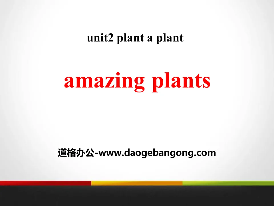 《Amazing Plants》Plant a Plant PPT