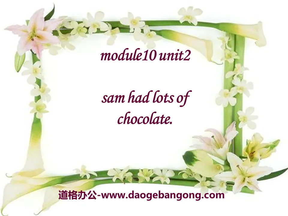 《Sam had lots of chocolates》PPT课件