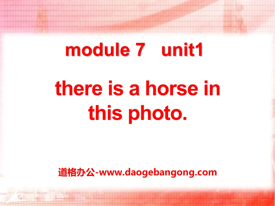 "There is a horse in this photo" PPT courseware 3