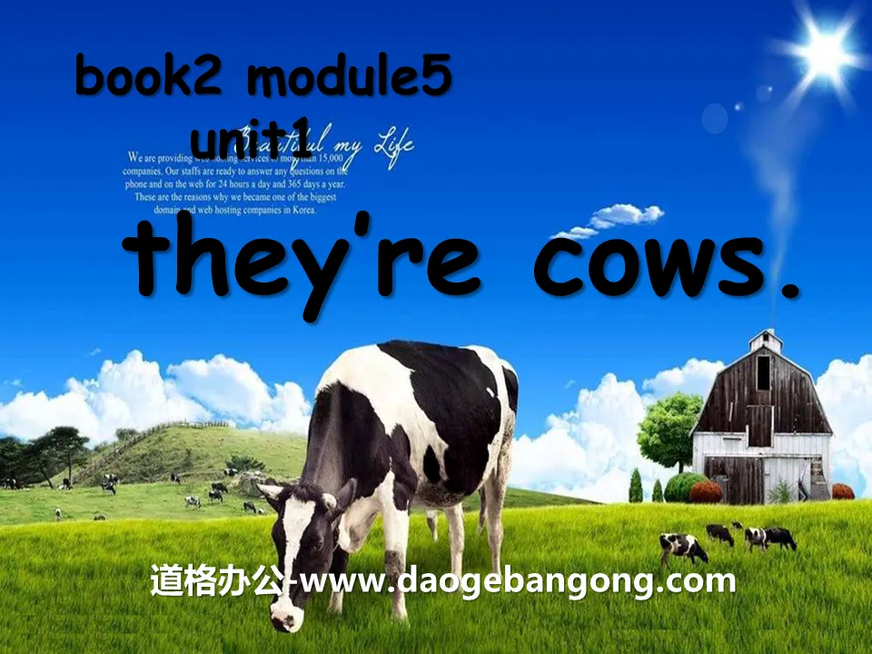 《They're cows》PPT课件2