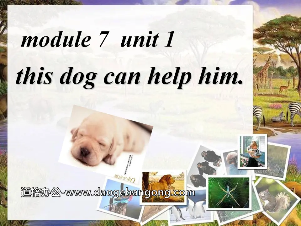 "This dog can help him" PPT courseware