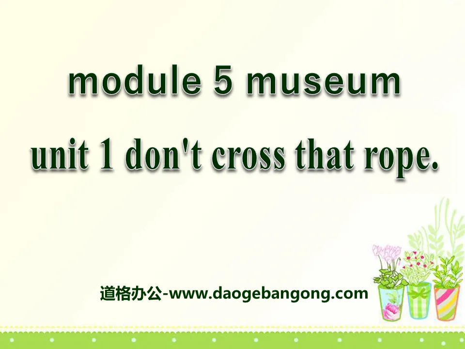 "Don't cross that rope" Museums PPT courseware