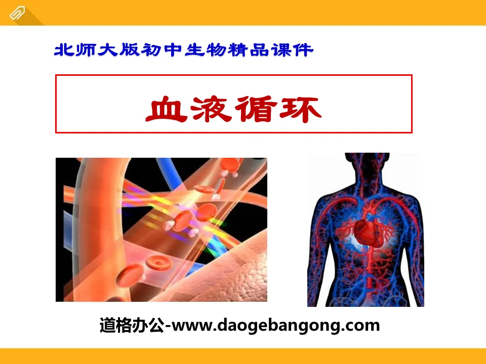 "Blood Circulation" PPT download